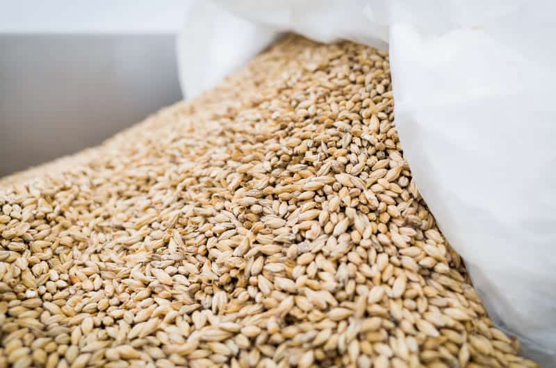 Ingredienti della birra: quali sono i principali e come cambiano per le diverse produzioni.